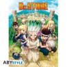 DR STONE - Poster "Group"