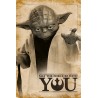 Star Wars - Yoda May The Force Be With You