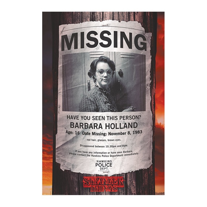 Stranger Things - Missing Barb Stranger Things - Missing Barb