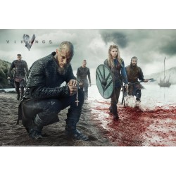Vikings - Blood Landscape
