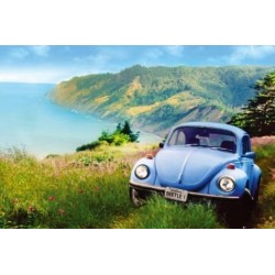 Volkswagen VW Beetle - Bubbla