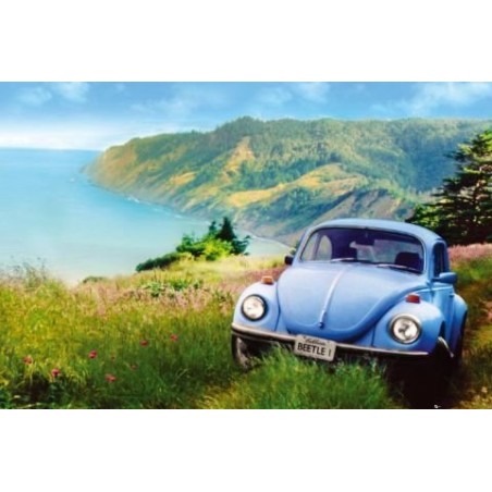 Volkswagen VW Beetle - Bubbla