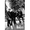 The Beatles - Black and White Park Portrait