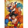 Dragon Ball Super - Goku