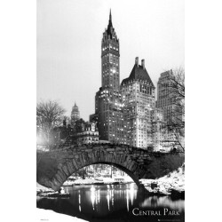 New York - Central Park Snow