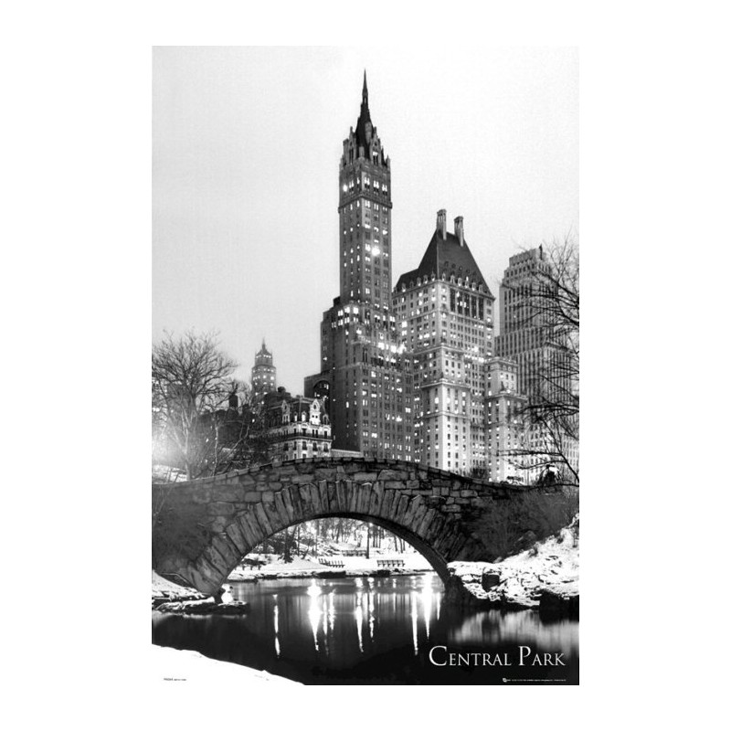 New York - Central Park Snow New York - Central Park Snow