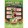 Minecraft - Creepy Behaviour
