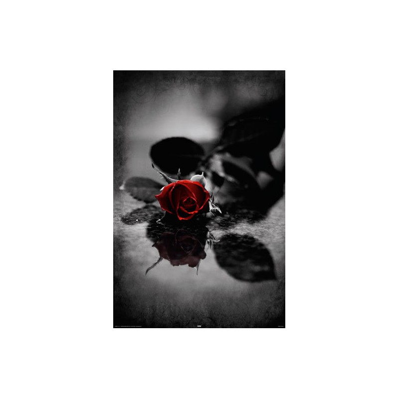 Red Gothic Rose Red Gothic Rose