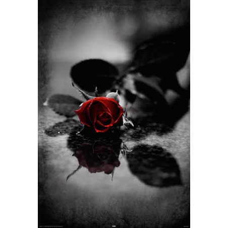 Red Gothic Rose