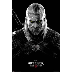 The Witcher - Geralt Toxicity Poisoning