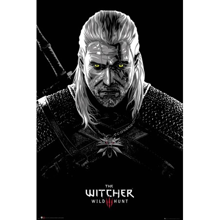 The Witcher - Geralt Toxicity Poisoning