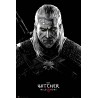 The Witcher - Geralt Toxicity Poisoning