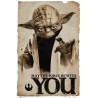 Star Wars - Yoda - May the force be with you