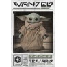 Star Wars - The Mandalorian - Wanted The Child