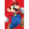 Super Mario - Run