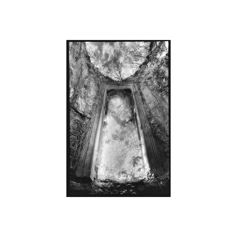 Gothic Window - Castle Bernard - Ireland Gothic Window - Castle Bernard - Ireland