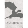 Game of Thrones - Dragon