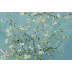   Van Gogh (Almond Blossom)
