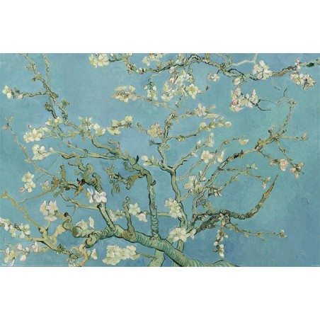   Van Gogh (Almond Blossom)