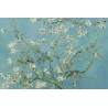   Van Gogh (Almond Blossom)