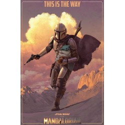Star Wars: The Mandalorian (On The Run)