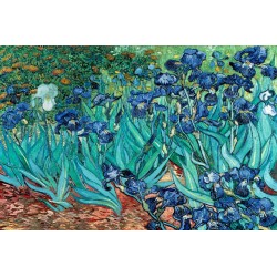 Van Gogh (Les Irises)