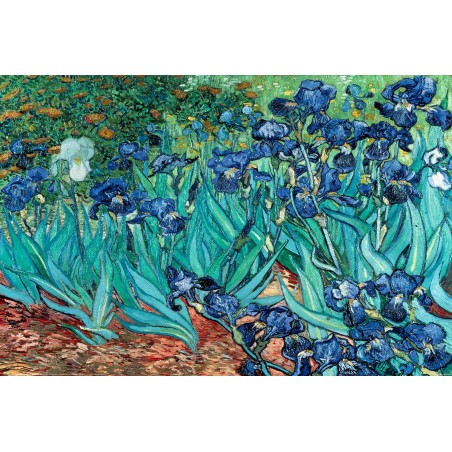 Van Gogh (Les Irises)