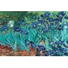 Van Gogh (Les Irises)