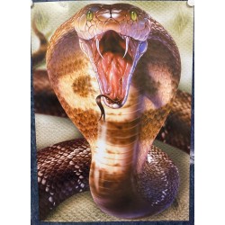 Cobra