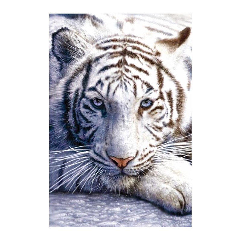 David Penfound Art - White Tiger