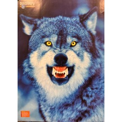 Wolf - Powermouth - Discovery channel