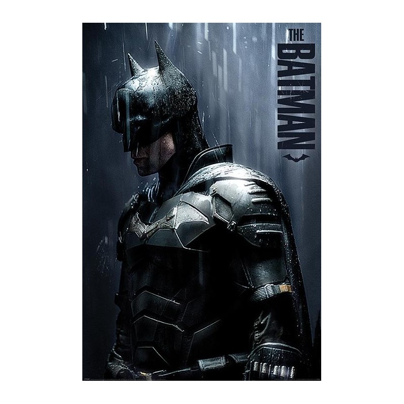 The Batman (Downpour) The Batman (Downpour)