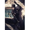 Catwoman (Spot Light)
