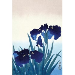  Ohara Koson (Iris Flowers)