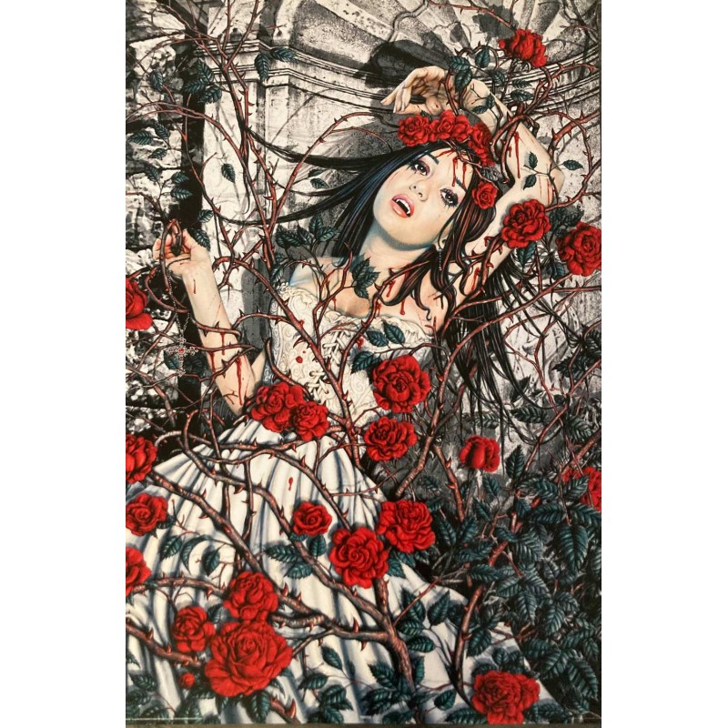 Vampire Bride Roses - Steve Read Vampire Bride Roses - Steve Read