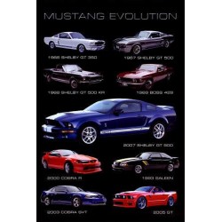Mustang Evolution