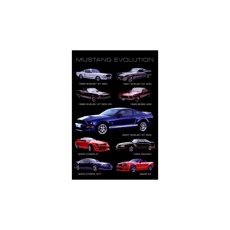 Mustang Evolution Mustang Evolution