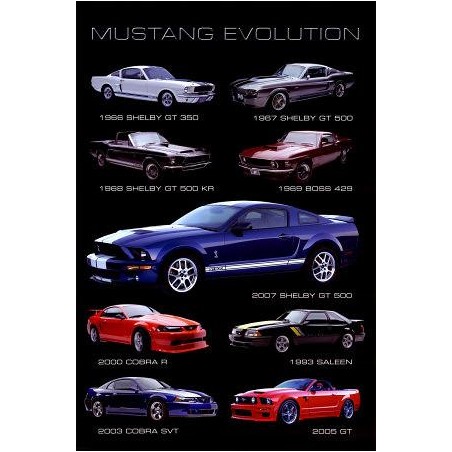Mustang Evolution