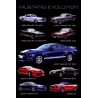 Mustang Evolution