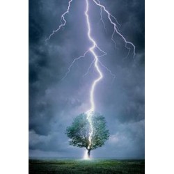 Lightning Bolt - Blixt 