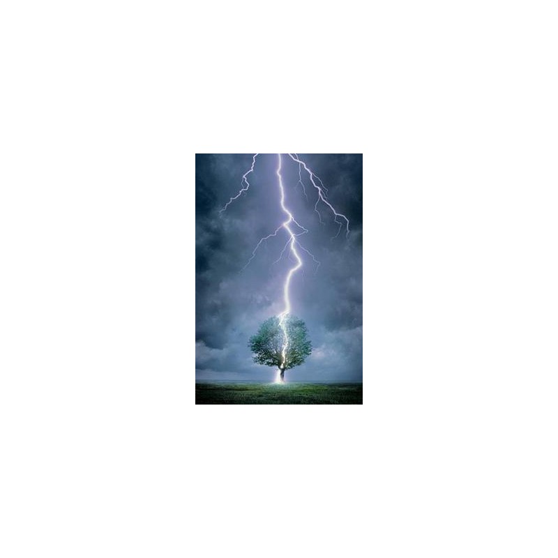 Lightning Bolt - Blixt Lightning Bolt - Blixt