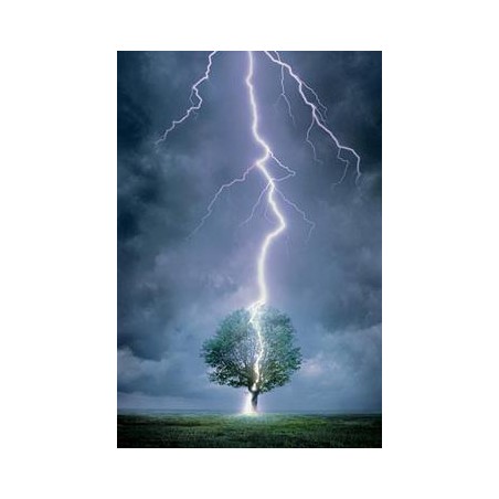 Lightning Bolt - Blixt 