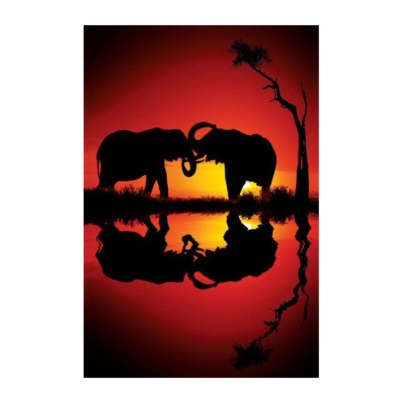 African Dreams - Elephant sunset reflection Elefant African Dreams - Elephant sunset reflection Elefant