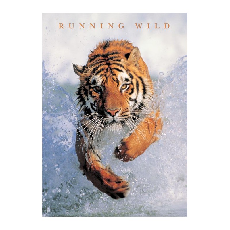 Running Wild - Tiger Running Wild - Tiger