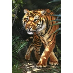 David Penfound Art - Tiger in the Jungle