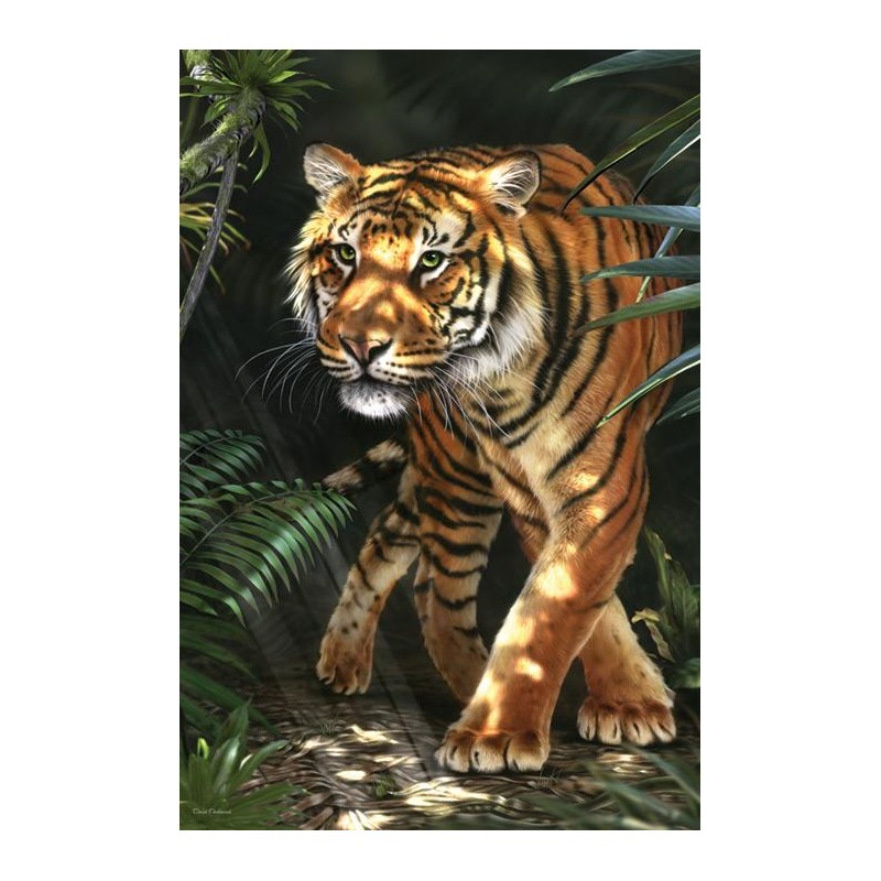 David Penfound Art - Tiger in the Jungle