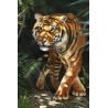 David Penfound Art - Tiger in the Jungle