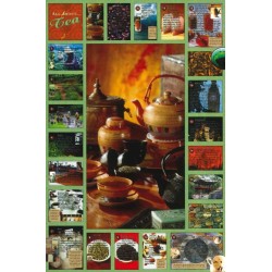 All About Tea