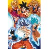 Dragon Ball Super - Transformation