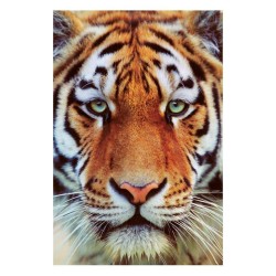 Tiger face